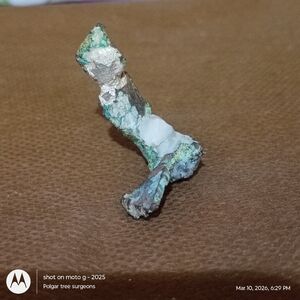 Native Silver calcite Copper Specimen | Mineralogical & Geological Collectors